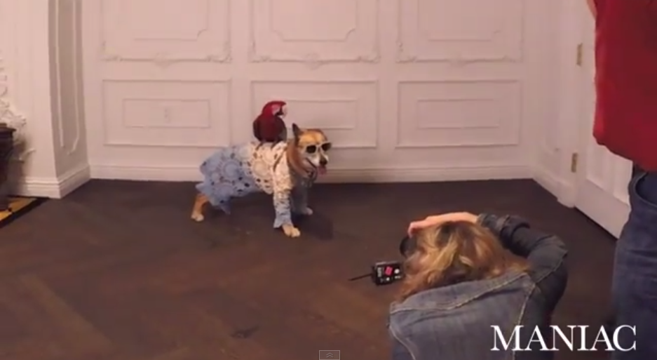 Chloe Hubal behind the scenes for Maniac Magazine dog issue